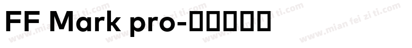FF Mark pro字体转换